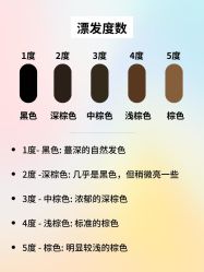 -KS COLOUR漂色·染发·画染