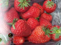 -西南民族大学南区(双流校区)