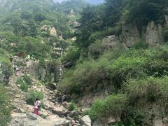 -泰山风景名胜区