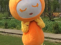 -前小桔亲子创意农场·草莓采摘·露营烧烤