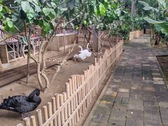 -呀路古热带植物园
