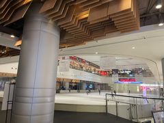 -TheRink大零溜冰场(IFS国金中心店)
