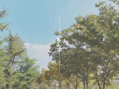 -大连东软信息学院(软件园校区)
