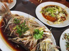 -微山岛春天里酒家