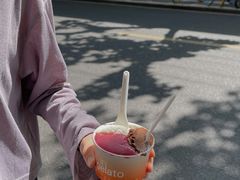 巧克力雪葩-Dip in Gelato(富民路店)