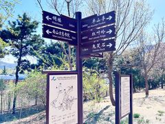 -北京西山国家森林公园