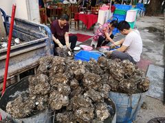 -花苑美食横琴生蚝火锅(拱北粤华路店)
