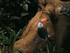 -南通洲际绿博园