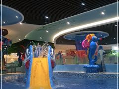 -海豚堡温泉水乐园