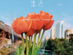 -溪岸路花鸟市场