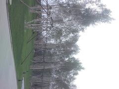 -中央戏剧学院(昌平校区)