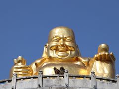 -苏州上方山国家森林公园