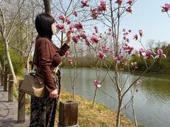 -溱湖国家湿地公园