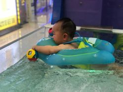 -海豚啵啵体智能游泳馆(惠山万达广场店)