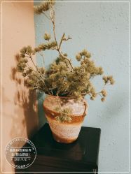 点击看大图 -香秀空间科技抗衰·美容中心