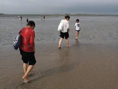 -南汇嘴观海公园