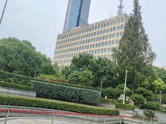 -罗子龙罗家桂花汤圆(曹都巷店)