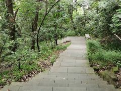 -杭州半山国家森林公园