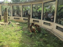 -合肥野生动物园