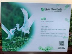 -福田红树林生态公园