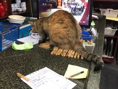 -协和菜馆(凤凰街店)