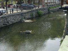 -北京水岸山吧度假村(雁栖镇店)