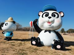 -苏州太湖国家湿地公园