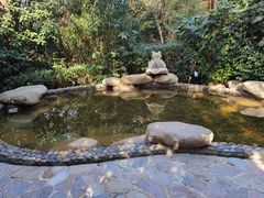 -天目湖涵田半山温泉