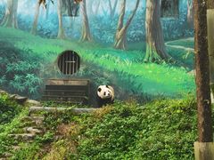 -中国大熊猫保护研究中心雅安碧峰峡基地