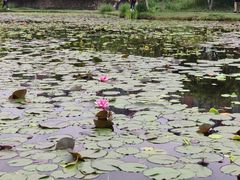 -成都中医药大学(温江校区)