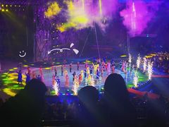 -灵玲国际马戏城