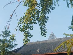 -古大圣慈寺