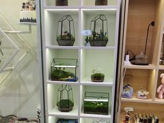 -陶语手工·拼豆·陶艺·银饰diy(宽厚里店)