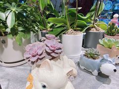 -Olé精品超市(上海虹桥南丰城店)