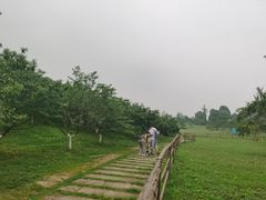 -秀丽东方