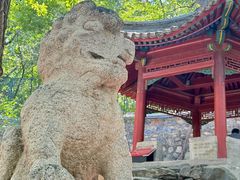 -大觉寺-停车场
