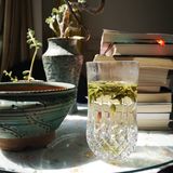 春茶正当时🍵🍵🍵