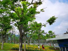 -白石龙音乐公园