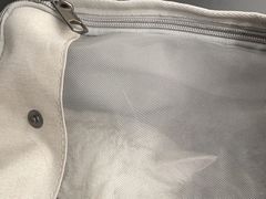 -爱诺耐芙动物医院(万博店)