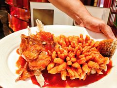 -洋洋中餐馆·SINCE 1997(龙湖星湖天街店)