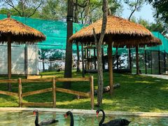 -南戴河国际娱乐中心