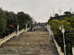 -铁山坪森林公园