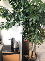 -痘院长·祛痘·科技美肤