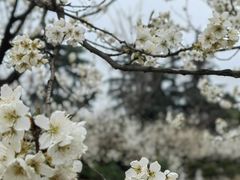 -国际非物质文化遗产博览园