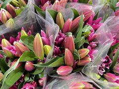 -三圣花乡旅游区