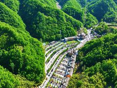 -栾川竹海野生动物园