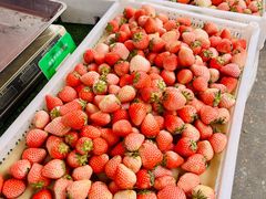 -南坛综合农贸市场