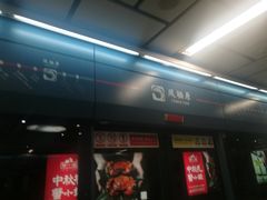 -凤栖原(地铁站)