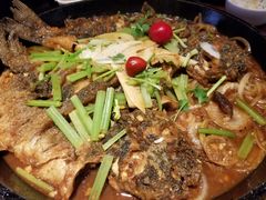 -老板恋上鱼(高新万达店)