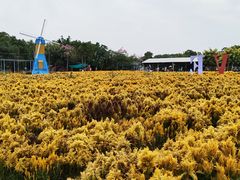 -广东花都香草世界旅游度假区
